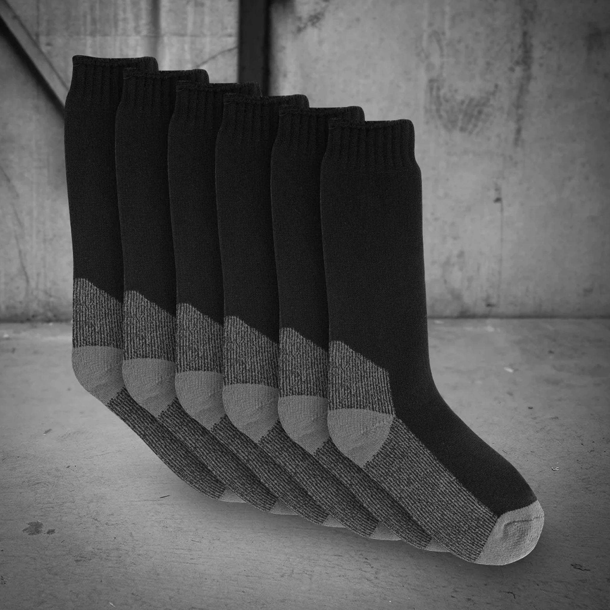 moondyne premium cotton socks 3 pack